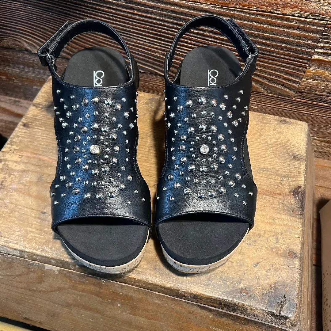 Docie Doe Silver Stud & Black Wedge/Sandal